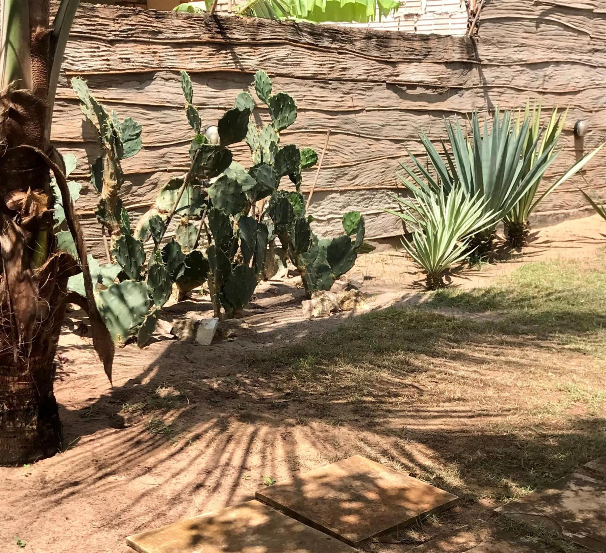Casa Belamar 圣米格尔-杜戈斯托苏 外观 照片