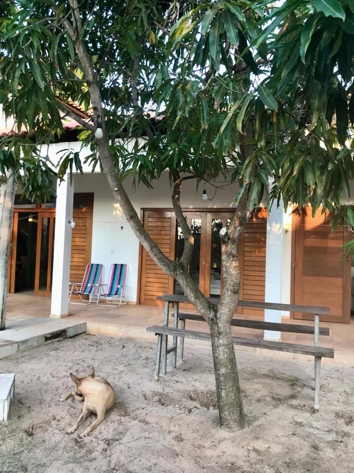 Casa Belamar 圣米格尔-杜戈斯托苏 外观 照片
